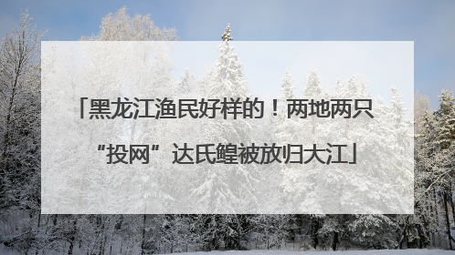 黑龙江渔民好样的！两地两只“投网”达氏鳇被放归大江