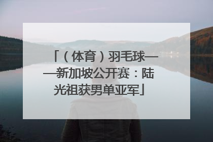 （体育）羽毛球——新加坡公开赛：陆光祖获男单亚军