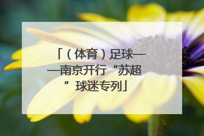 （体育）足球——南京开行“苏超”球迷专列