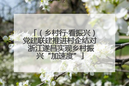 （乡村行·看振兴）党建联建推进村企结对 浙江遂昌实现乡村振兴“加速度”