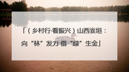 （乡村行·看振兴）山西襄垣：向“林”发力 借“绿”生金