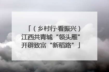 （乡村行·看振兴）江西共青城“领头雁”开辟致富“新稻路”