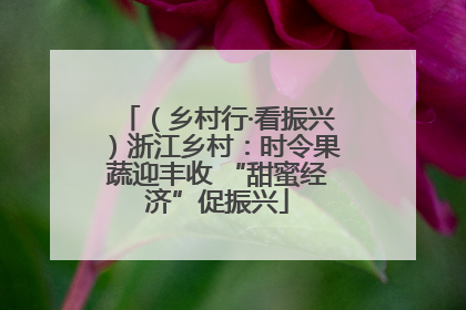 （乡村行·看振兴）浙江乡村：时令果蔬迎丰收 “甜蜜经济”促振兴