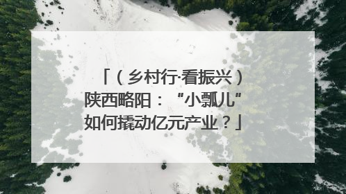 （乡村行·看振兴）陕西略阳：“小瓢儿”如何撬动亿元产业？