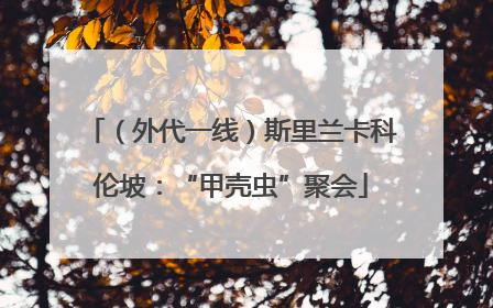 （外代一线）斯里兰卡科伦坡：“甲壳虫”聚会