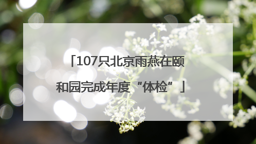 107只北京雨燕在颐和园完成年度“体检”