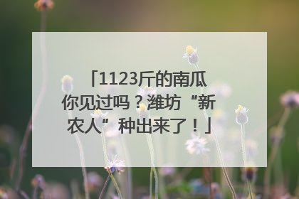1123斤的南瓜你见过吗？潍坊“新农人”种出来了！