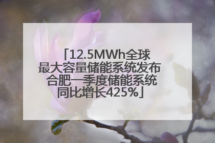 12.5MWh全球最大容量储能系统发布 合肥一季度储能系统同比增长425%
