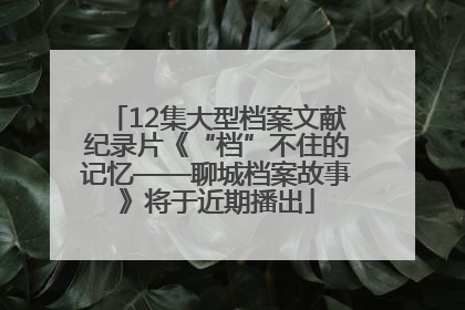 12集大型档案文献纪录片《“档”不住的记忆——聊城档案故事》将于近期播出