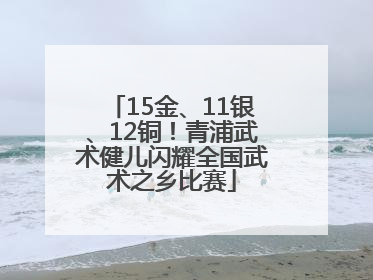 15金、11银、12铜！青浦武术健儿闪耀全国武术之乡比赛