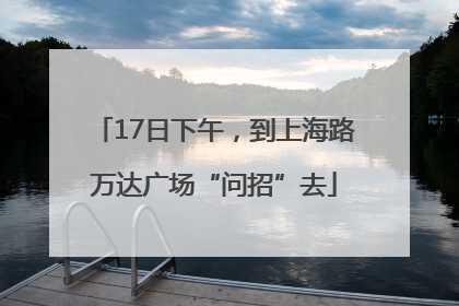 17日下午，到上海路万达广场“问招”去