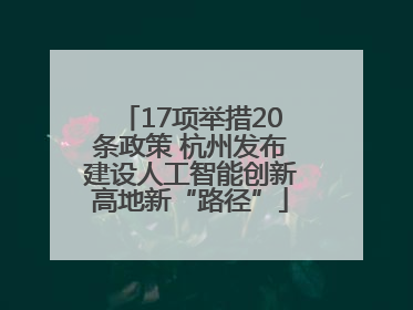 17项举措20条政策 杭州发布建设人工智能创新高地新“路径”