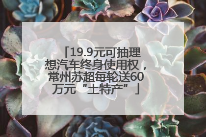 19.9元可抽理想汽车终身使用权，常州苏超每轮送60万元“土特产”