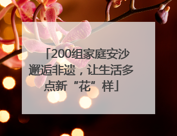 200组家庭安沙邂逅非遗，让生活多点新“花”样