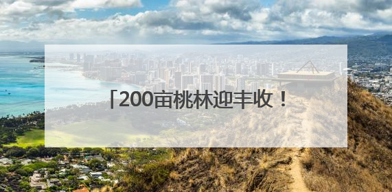 200亩桃林迎丰收！成都龙泉山水蜜桃基地2025采摘季开启