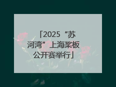 2025“苏河湾”上海桨板公开赛举行