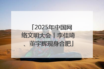 2025年中国网络文明大会丨李佳琦、董宇辉现身合肥