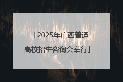2025年广西普通高校招生咨询会举行