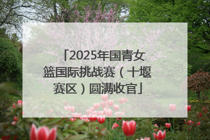 2025年国青女篮国际挑战赛（十堰赛区）圆满收官