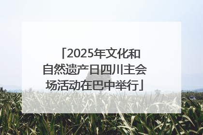2025年文化和自然遗产日四川主会场活动在巴中举行