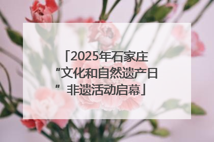 2025年石家庄“文化和自然遗产日”非遗活动启幕