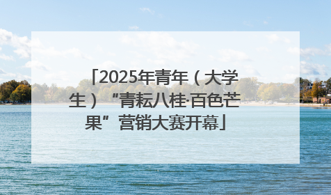 2025年青年（大学生）“青耘八桂·百色芒果”营销大赛开幕