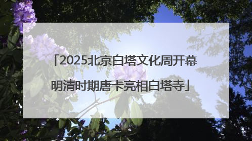 2025北京白塔文化周开幕 明清时期唐卡亮相白塔寺