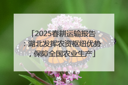 2025春耕运输报告：湖北发挥农资枢纽优势，保障全国农业生产