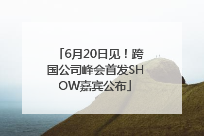 6月20日见！跨国公司峰会首发SHOW嘉宾公布