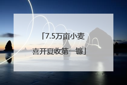 7.5万亩小麦喜开夏收第一镰