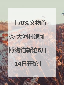 70%文物首秀 大河村遗址博物馆新馆6月14日开馆