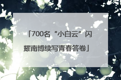 700名“小白云”闪耀南博续写青春答卷