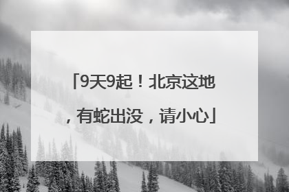 9天9起！北京这地，有蛇出没，请小心