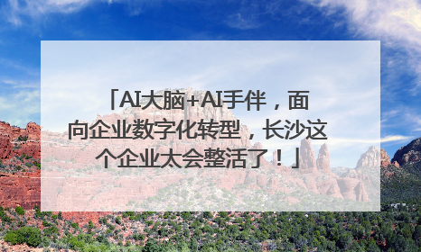 AI大脑+AI手伴，面向企业数字化转型，长沙这个企业太会整活了！