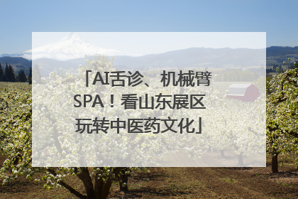 AI舌诊、机械臂SPA！看山东展区玩转中医药文化
