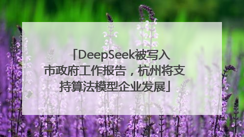 DeepSeek被写入市政府工作报告，杭州将支持算法模型企业发展