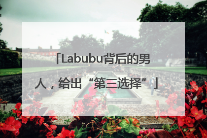 Labubu背后的男人，给出“第三选择”
