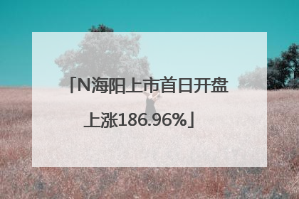 N海阳上市首日开盘上涨186.96%