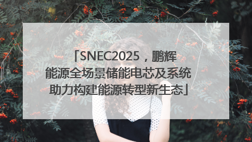 SNEC2025，鹏辉能源全场景储能电芯及系统助力构建能源转型新生态