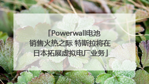 Powerwall电池销售火热之际 特斯拉将在日本拓展虚拟电厂业务