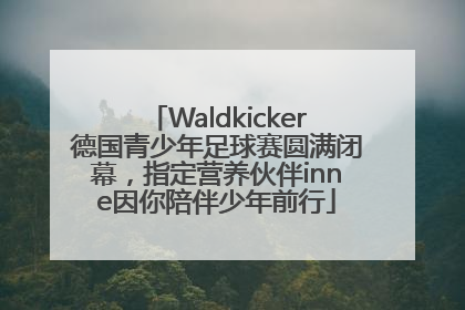 Waldkicker德国青少年足球赛圆满闭幕，指定营养伙伴inne因你陪伴少年前行